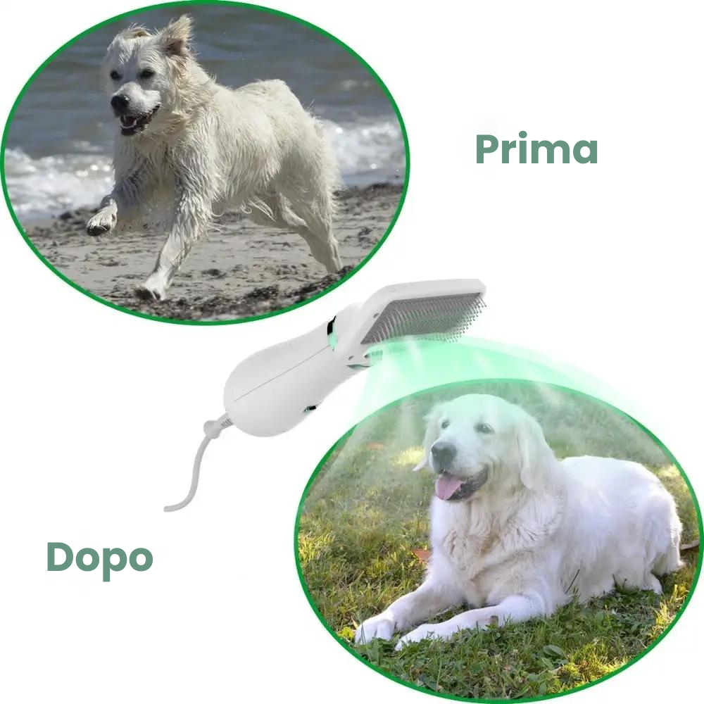 Pet Brush